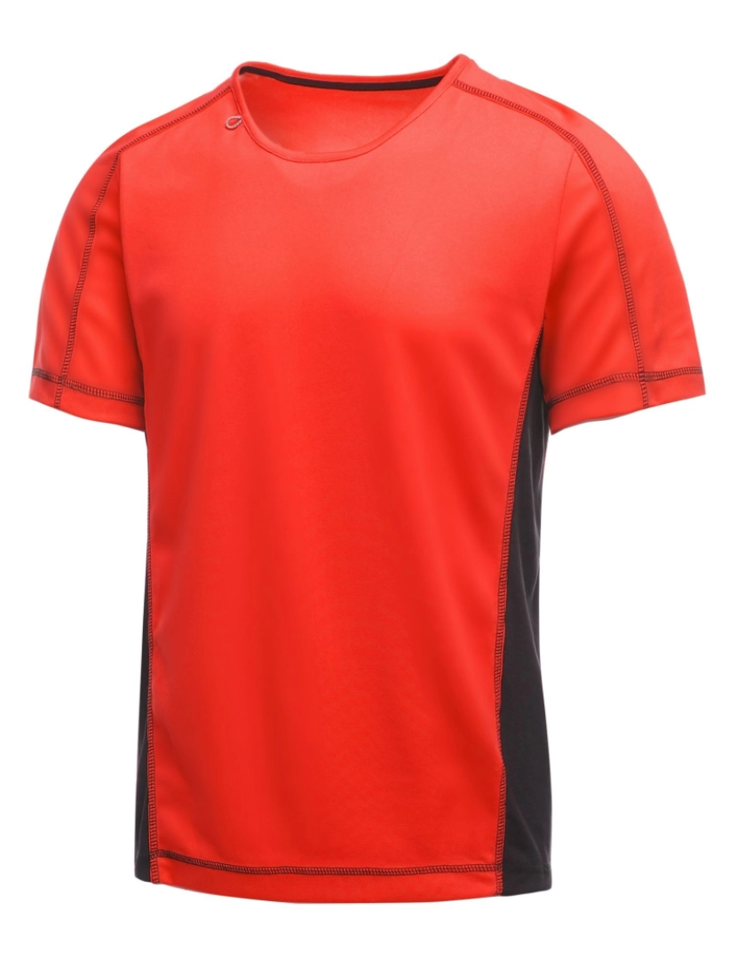 imagem de Regatta Activewear Mens Pequim manga curta T-shirt4