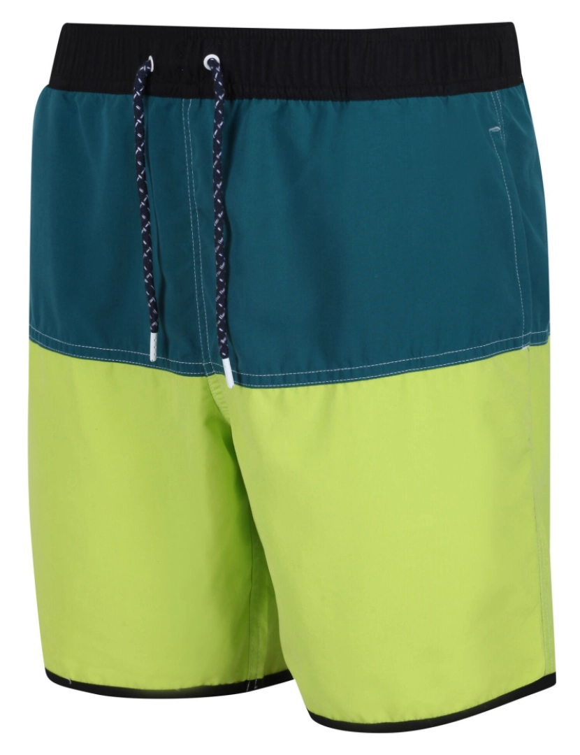 imagem de Regatta Mens Benicio Swim Shorts3