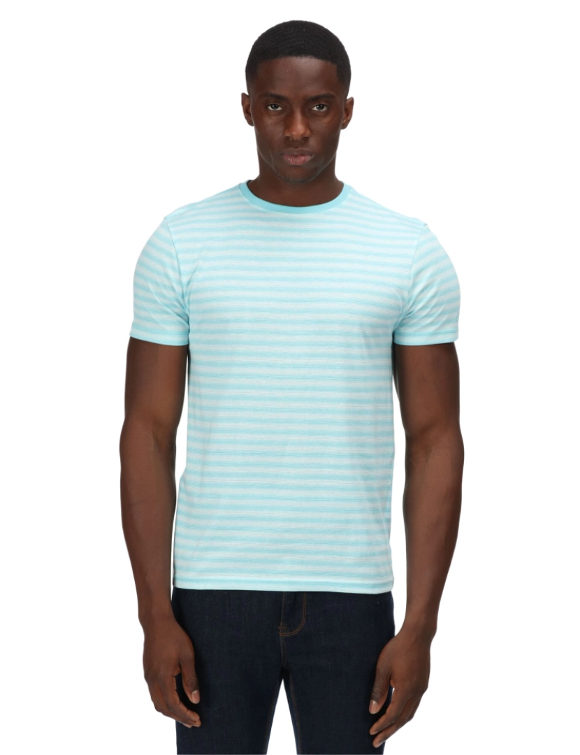 imagem de Regatta Mens Brayden Mini Stripe T-shirt5