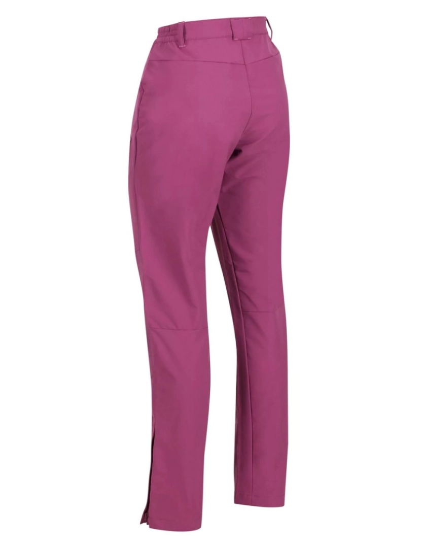 imagem de Regatta Womens/Ladies Questra Iv Stretch Caminhadas Calças4