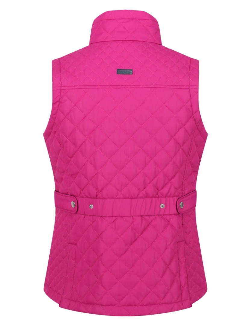 imagem de Regatta Womens/Ladies Charleigh Gilet2