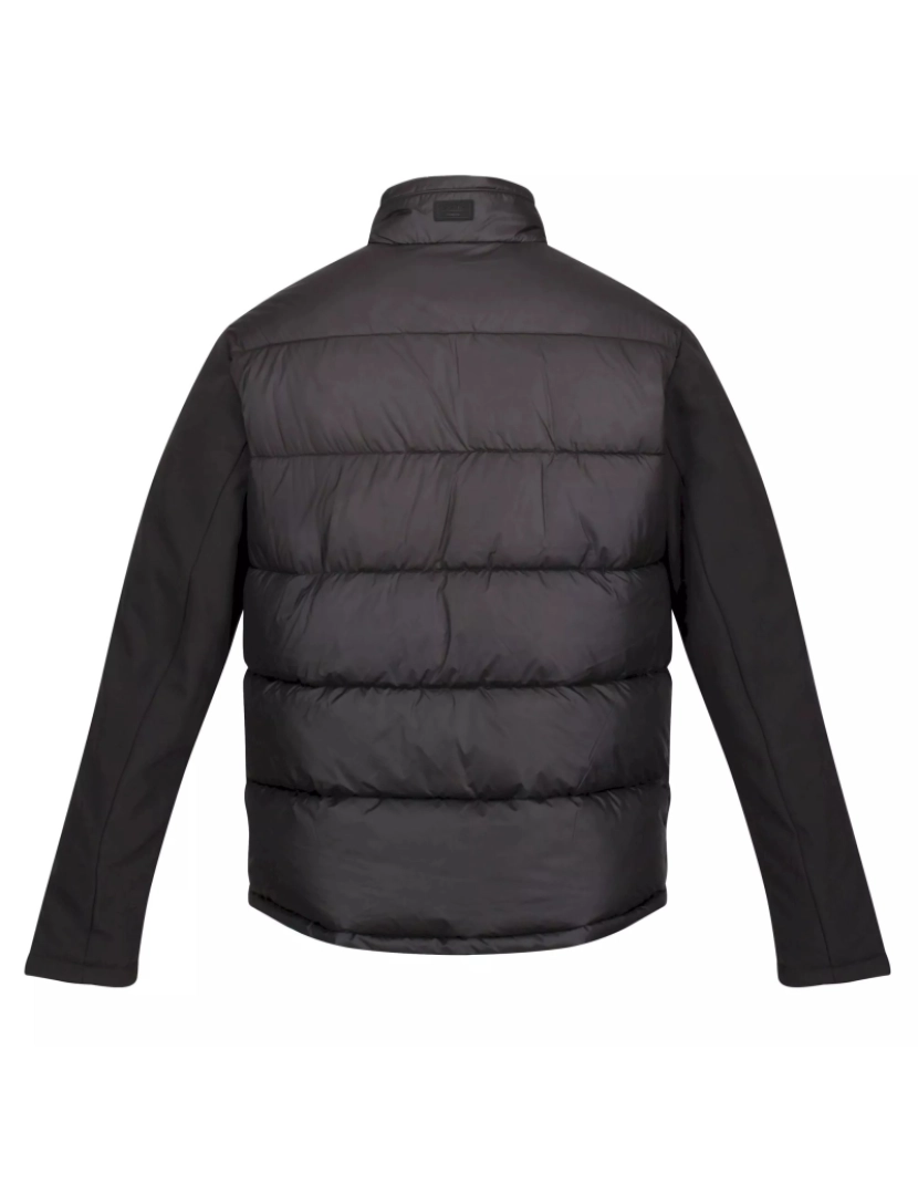 imagem de Regatta Mens Firmilien Lightweight Puffer Jacket2