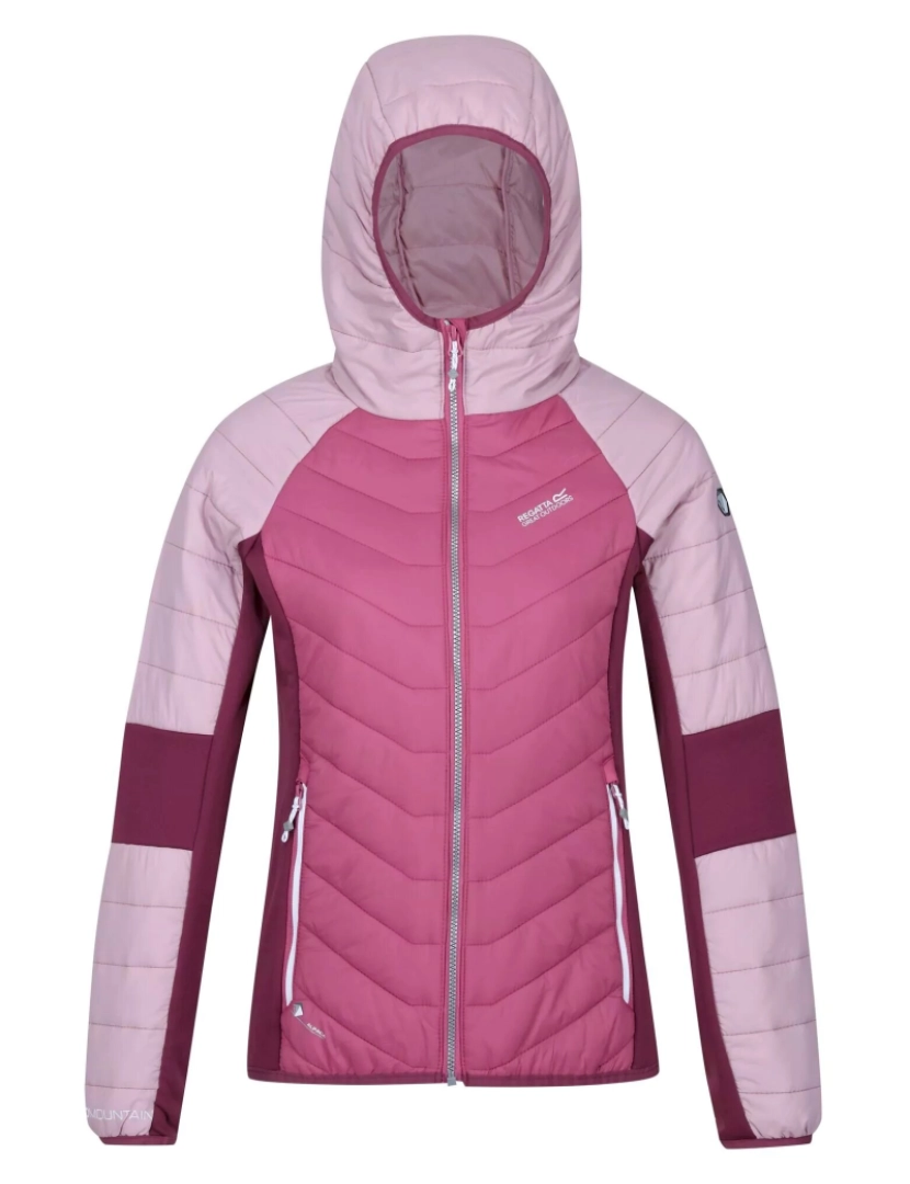 imagem de Regatta Womens/Ladies Trutton leve casaco acolchoado1