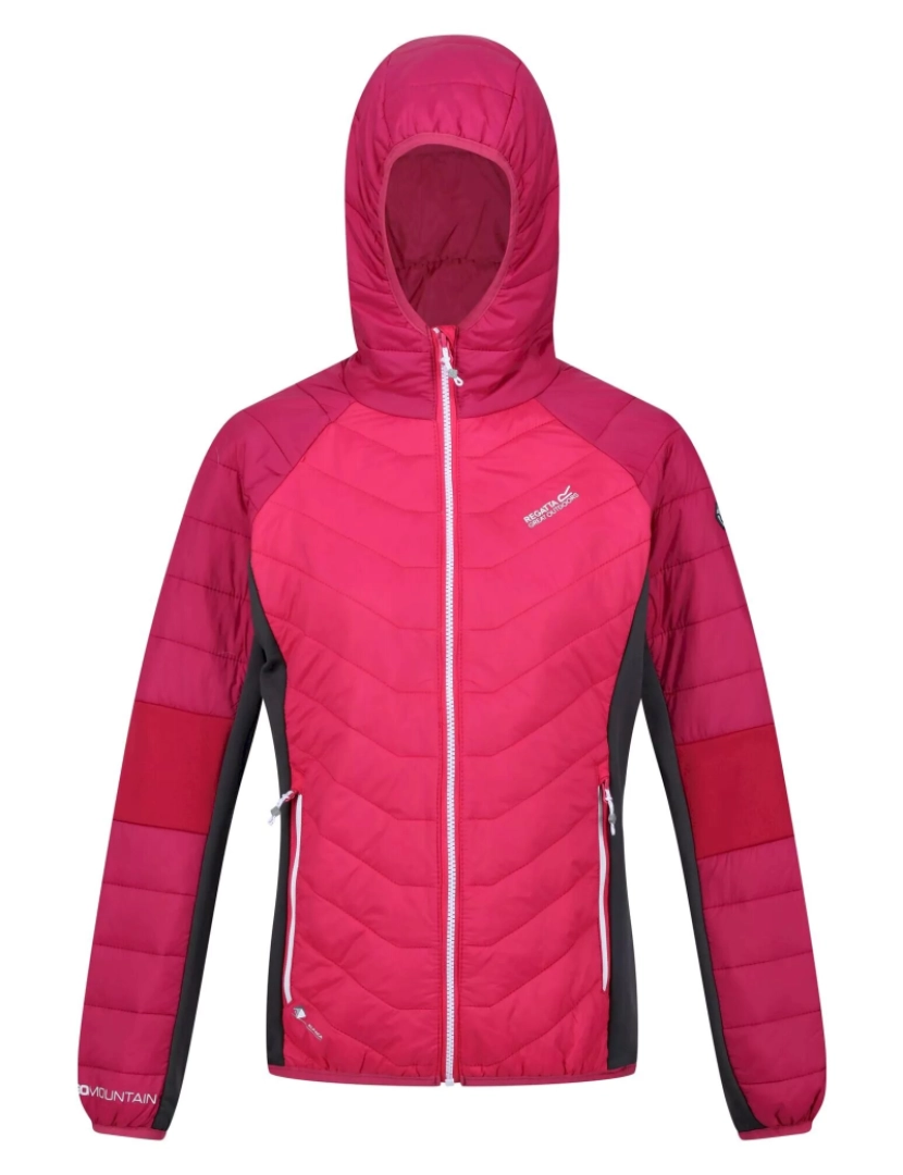 imagem de Regatta Womens/Ladies Trutton leve casaco acolchoado1