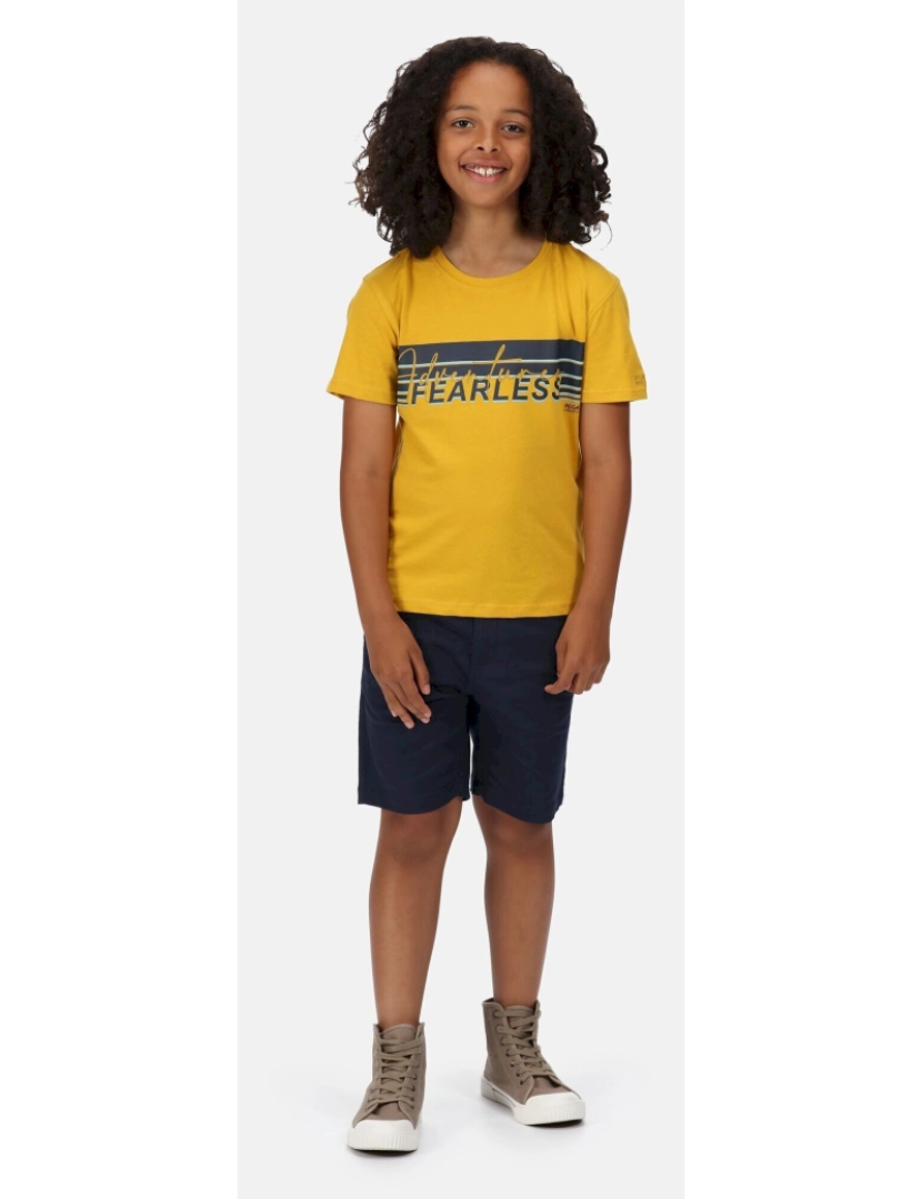 imagem de Regatta Crianças/Kids Bosley V Stripe T-shirt5