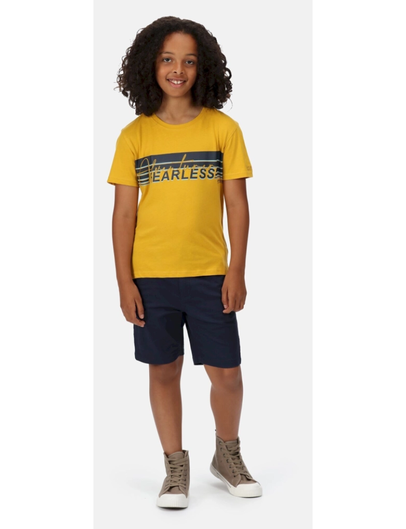 imagem de Regatta Crianças/Kids Bosley V Stripe T-shirt6