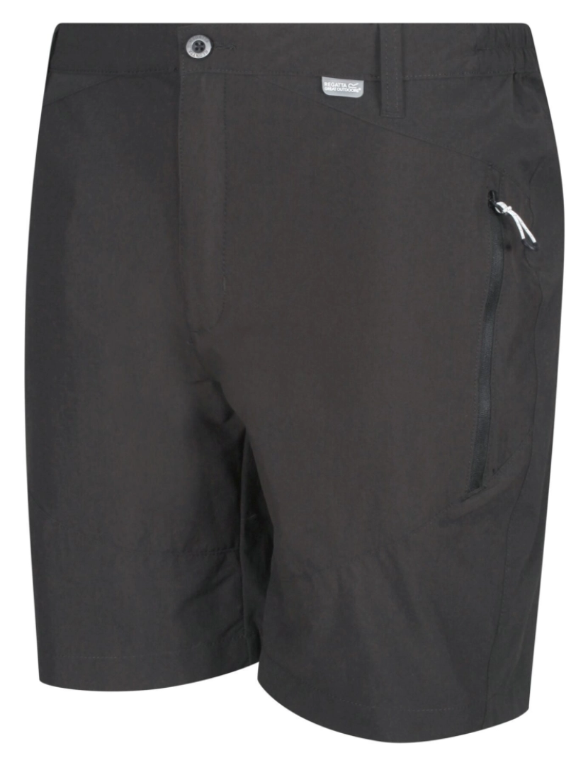 imagem de Regatta Mens Highton Shorts médios3