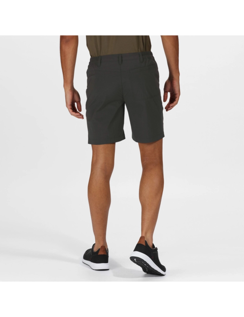 imagem de Regatta Mens Highton Shorts médios4