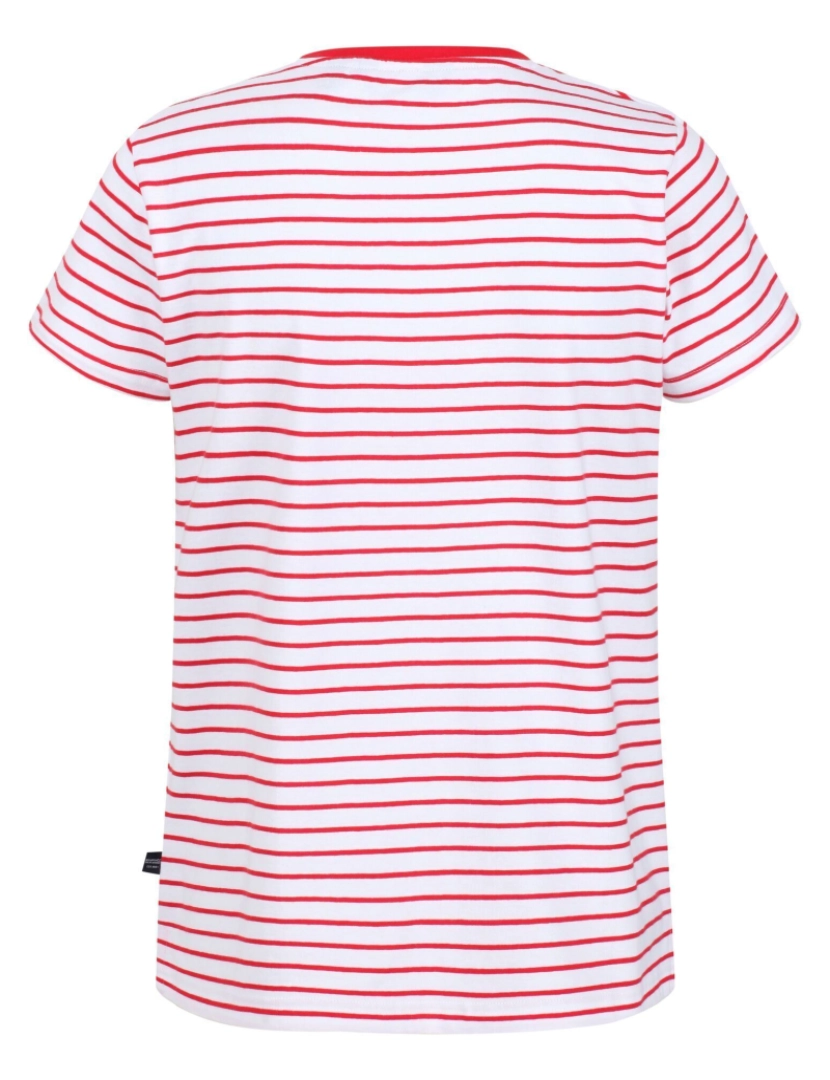 imagem de Regatta Womens/Ladies Odalis Stripe T-Shirt2