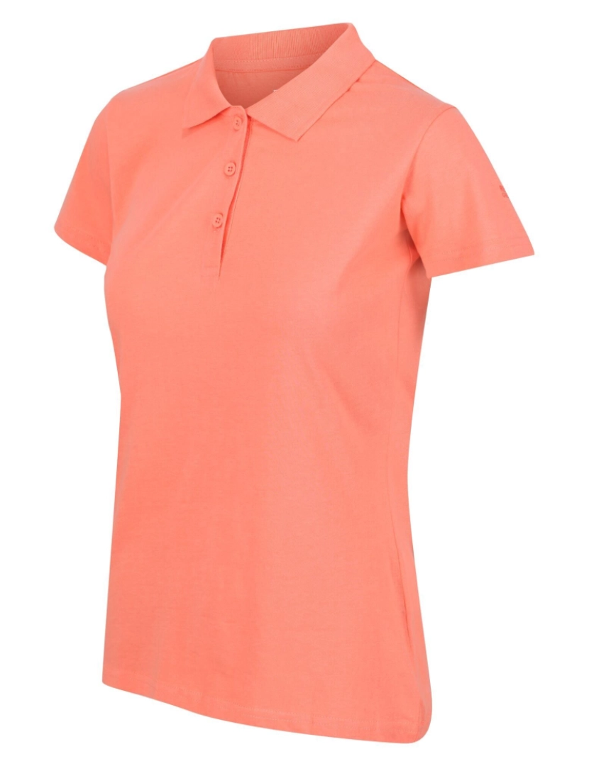 imagem de Regatta Womens/Ladies Sinton Polo camisa3