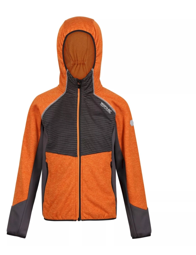 imagem de Regatta Crianças/Kids Prenton Lightweight Fleece Jacket1