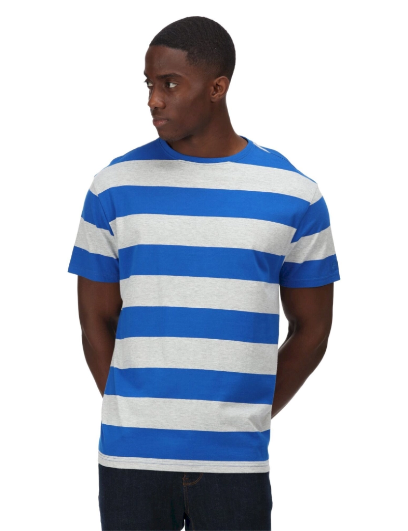 imagem de Regatta Mens Brayden Stripe T-shirt3