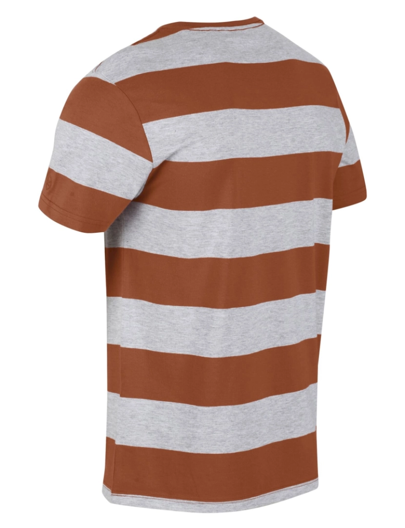 imagem de Regatta Mens Brayden Stripe T-shirt3