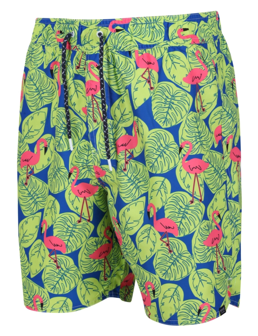 imagem de Regata Mens Hamza Flamingo Swim Shorts4