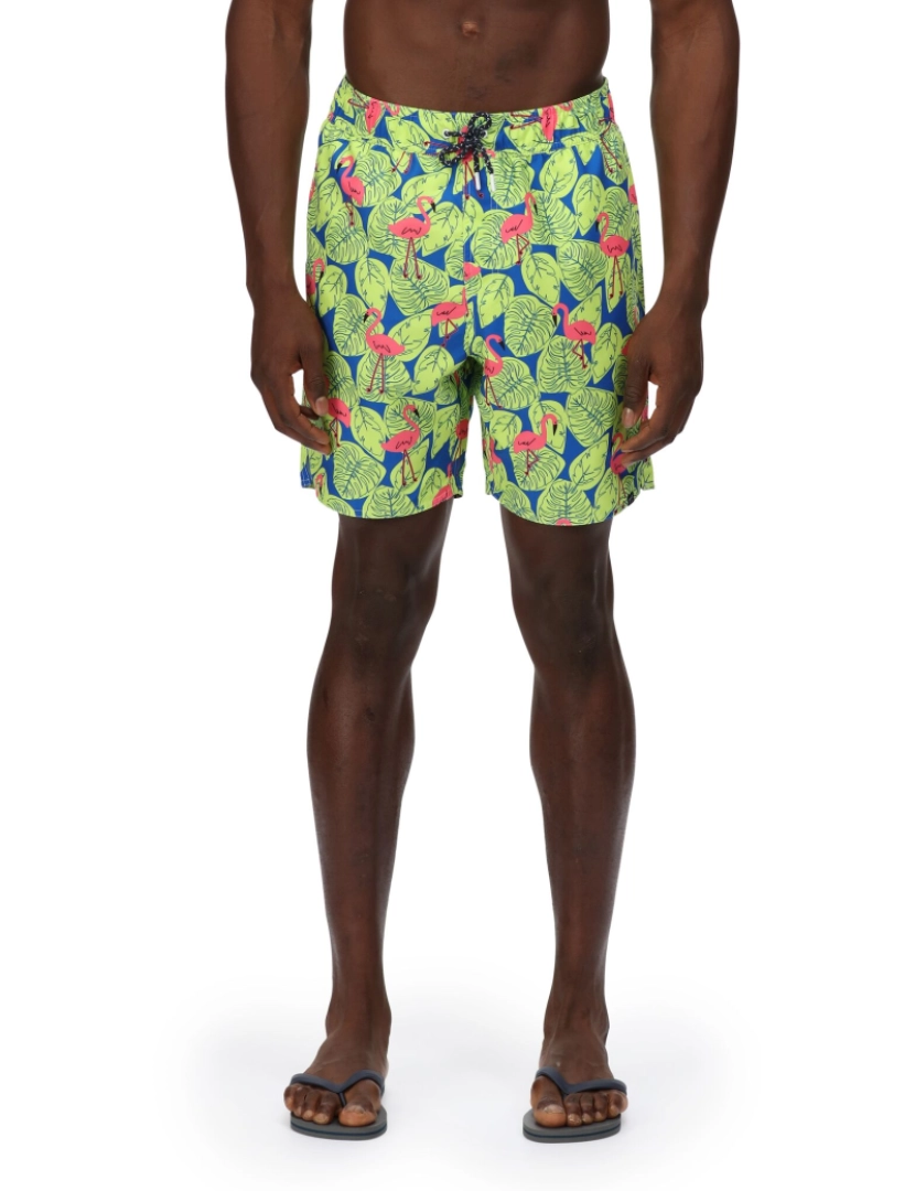 imagem de Regata Mens Hamza Flamingo Swim Shorts6