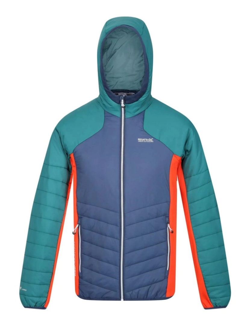 imagem de Regatta Mens Trutton com capuz Soft Shell Jacket1