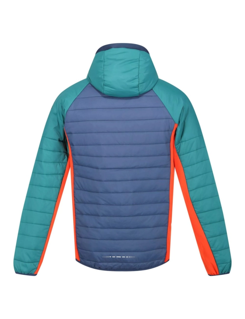 imagem de Regatta Mens Trutton com capuz Soft Shell Jacket2