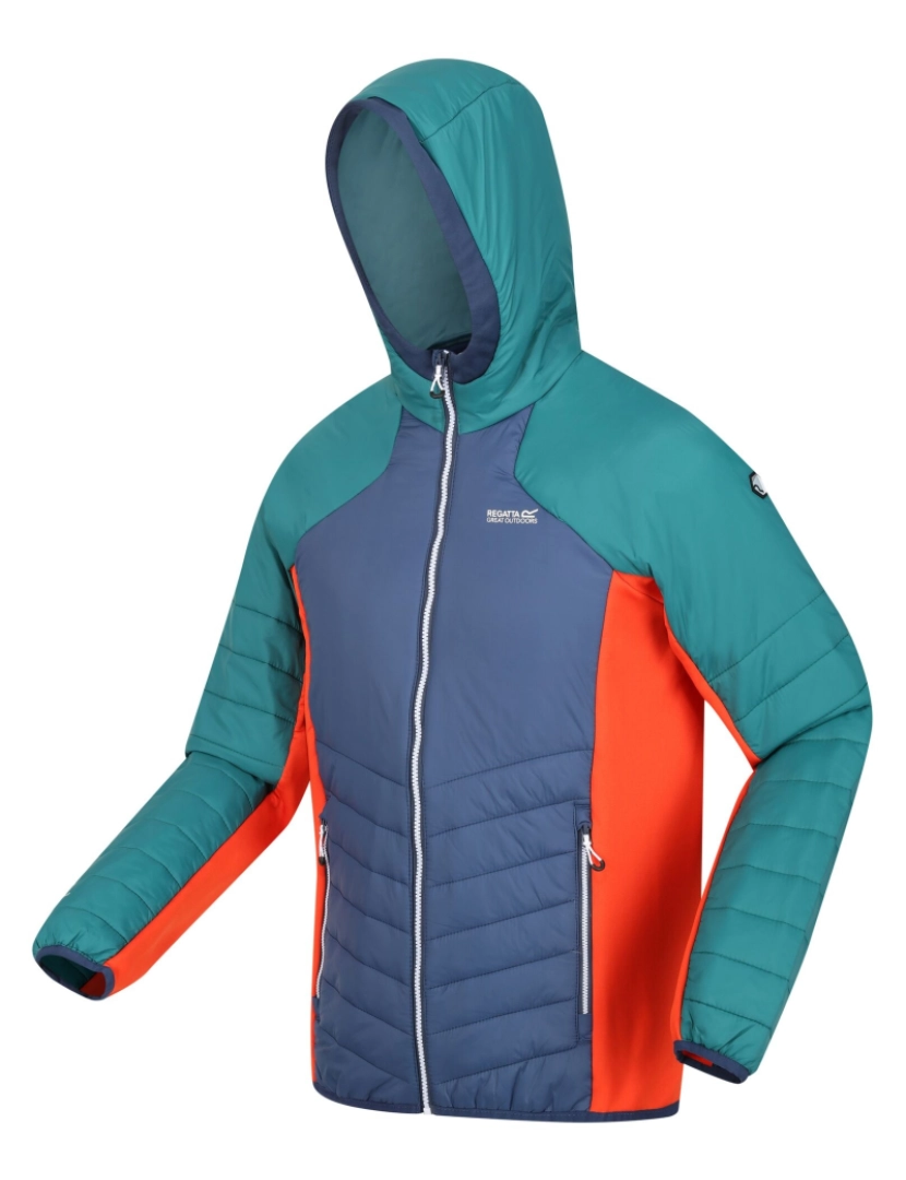 imagem de Regatta Mens Trutton com capuz Soft Shell Jacket3