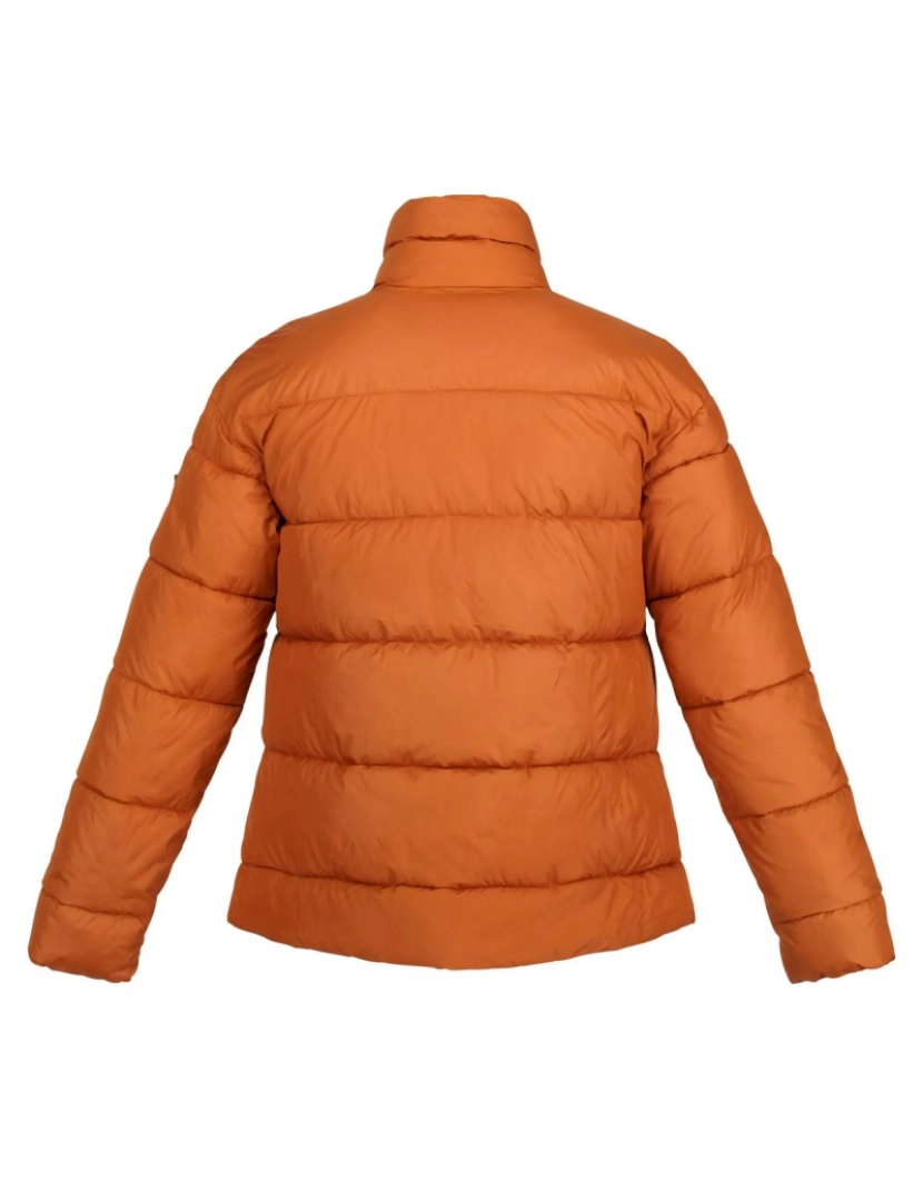 imagem de Regatta Womens/Ladies Raegan Puffer Jacket2