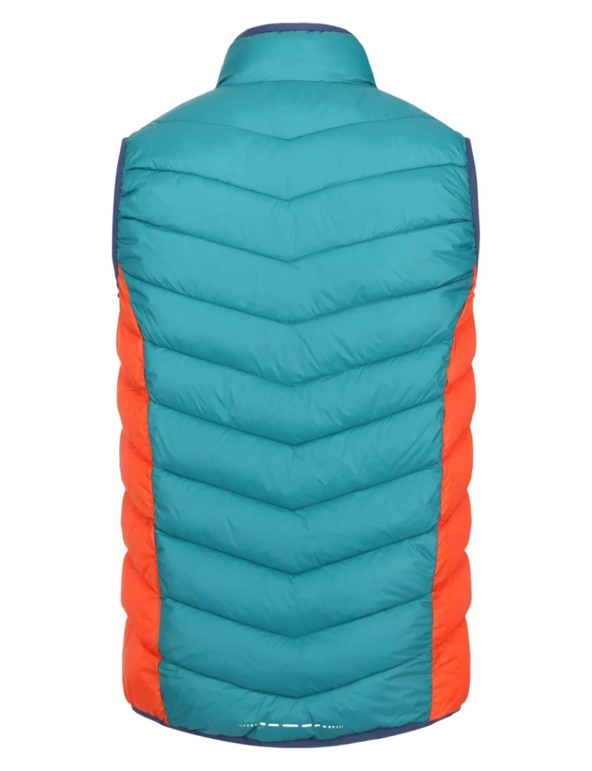 imagem de Regatta Mens Harrock Body Warmer2