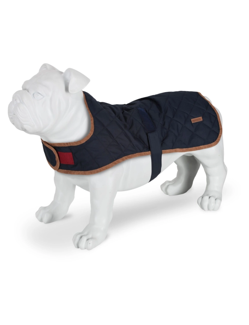 imagem de Regatta Odie Quilted Dog Coat3