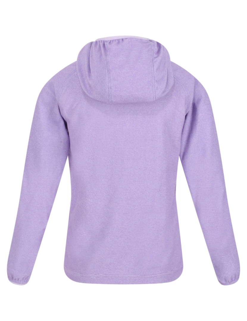 imagem de Regatta Crianças/Kids Loco Micro-Stripe Hoodie2