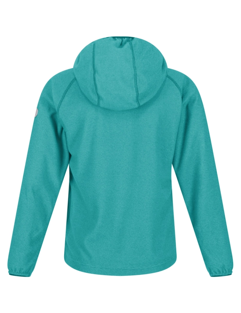 imagem de Regatta Crianças/Kids Loco Micro-Stripe Hoodie2