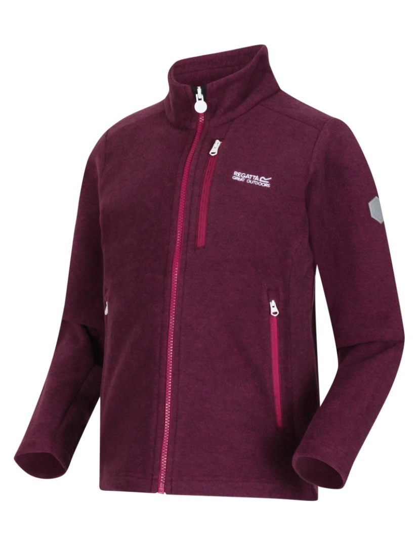 imagem de Regatta Crianças/Kids Marlin Vii Full Zip Fleece Jacket4