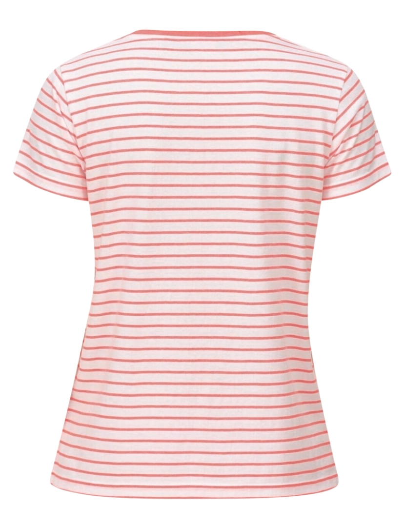 imagem de Regatta Womens/Ladies Odalis Stripe T-Shirt2