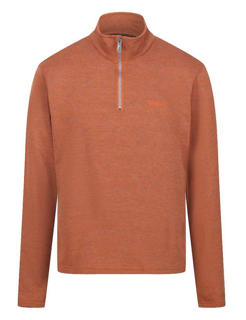 imagem de Regatta Mens Elgor Ii meia Zip Fleece Top1