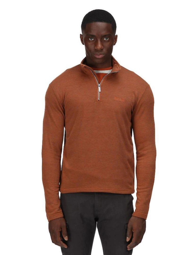 imagem de Regatta Mens Elgor Ii meia Zip Fleece Top4