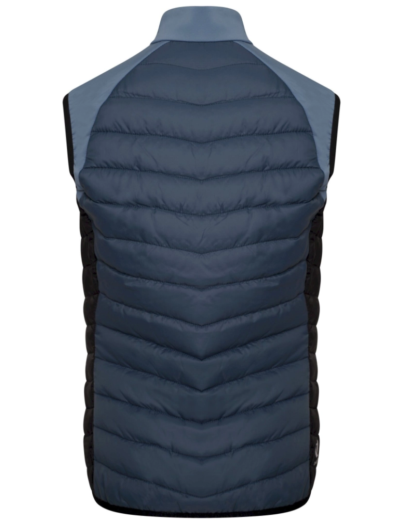 imagem de Dare 2B Mulheres/Ladies Surmount Ii Gilet2