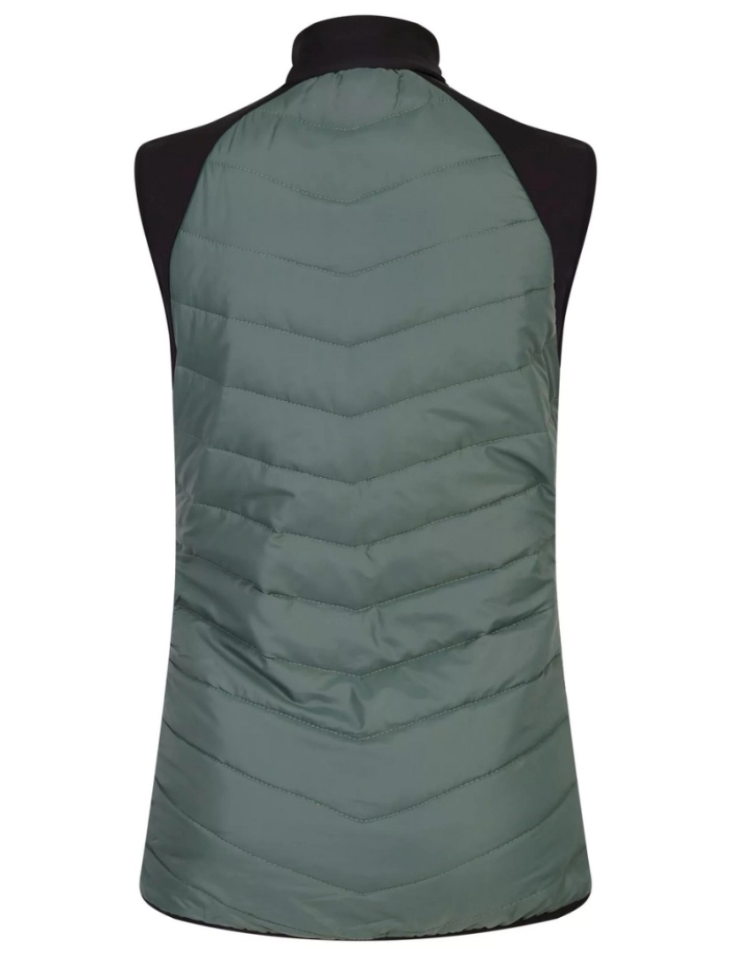 imagem de Dare 2B Mulheres/Ladies Surmount Ii Gilet2