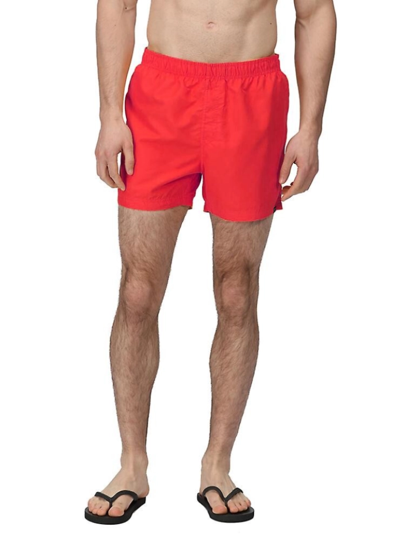 imagem de Regatta Mens Wayde natação Trunks1