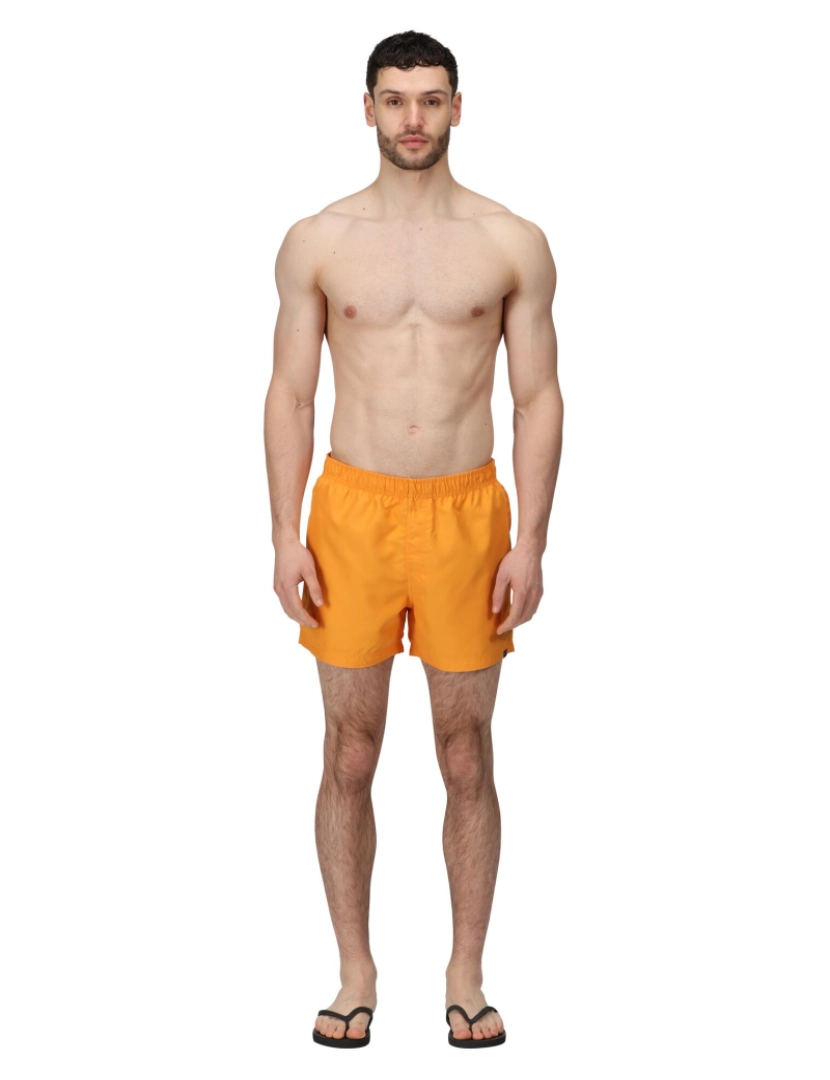 imagem de Regatta Mens Wayde natação Trunks3