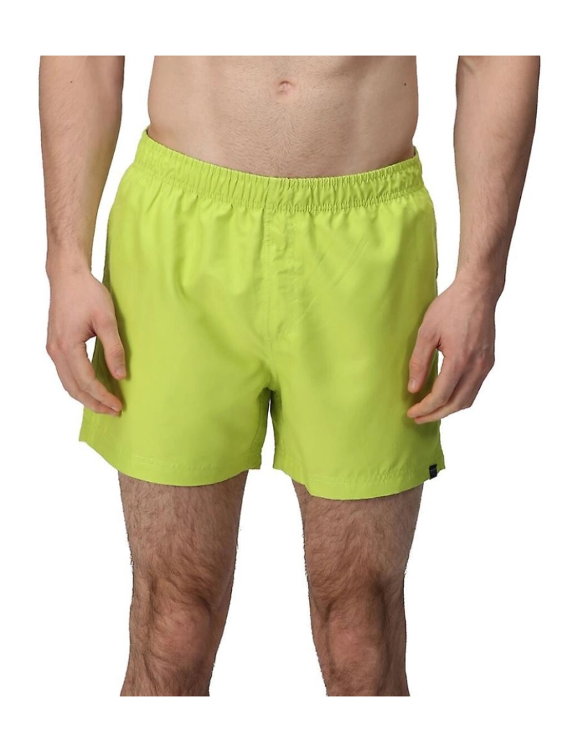 imagem de Regatta Mens Wayde natação Trunks1