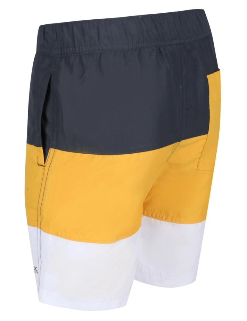 imagem de Regatta Boys Shaul Iii Swim Shorts4