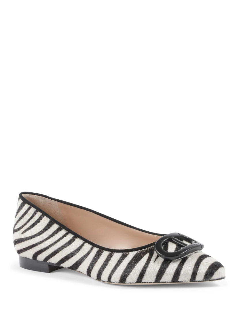 imagem de Balerina Zebra da selva2