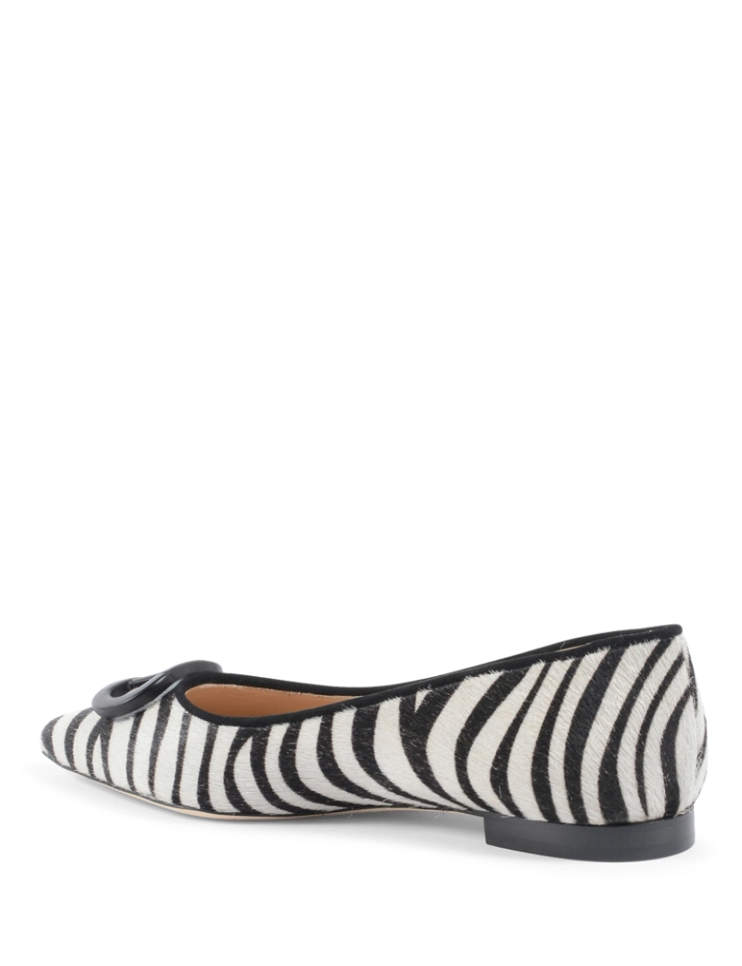 imagem de Balerina Zebra da selva3