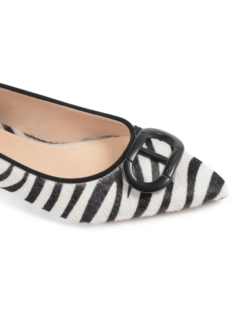 imagem de Balerina Zebra da selva4