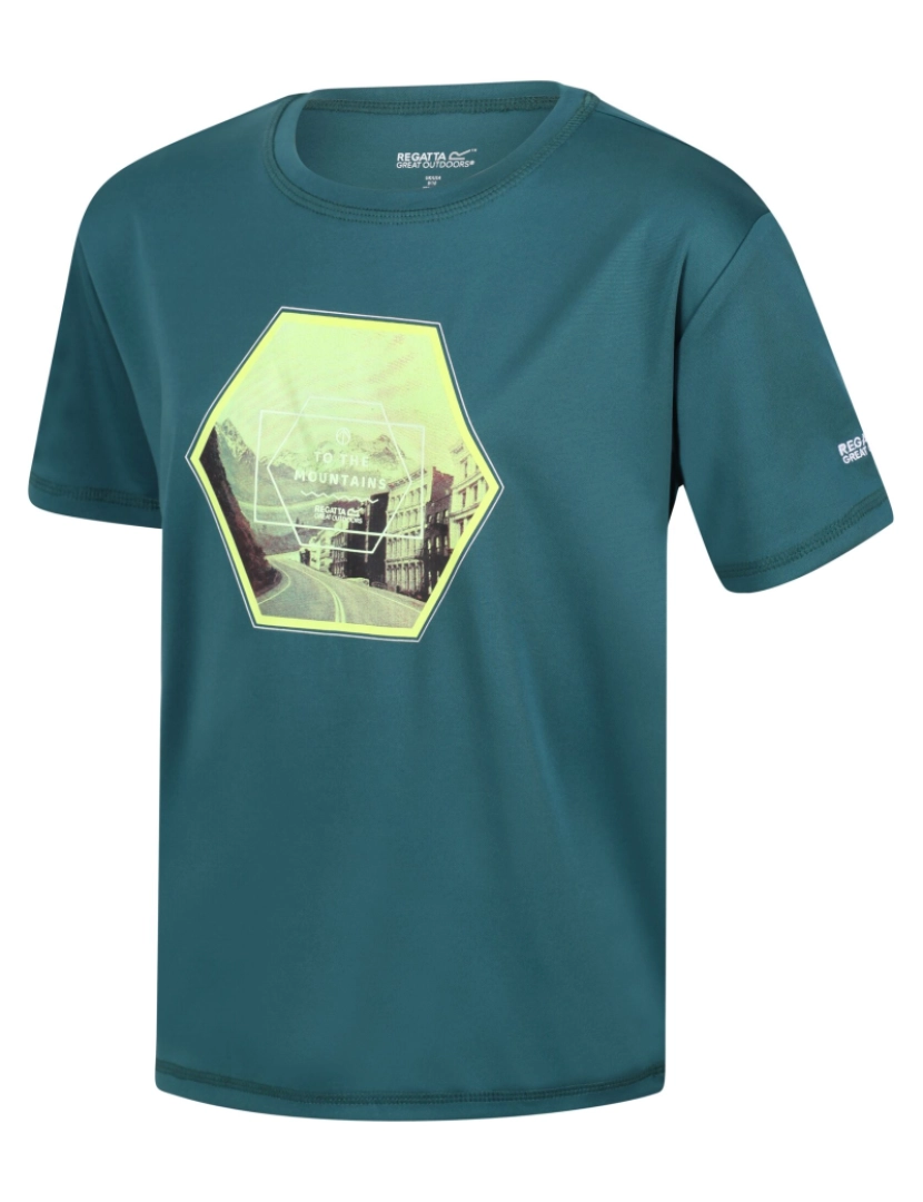 imagem de Regatta Crianças/Kids Alvarado Vi Hexagon T-Shirt4