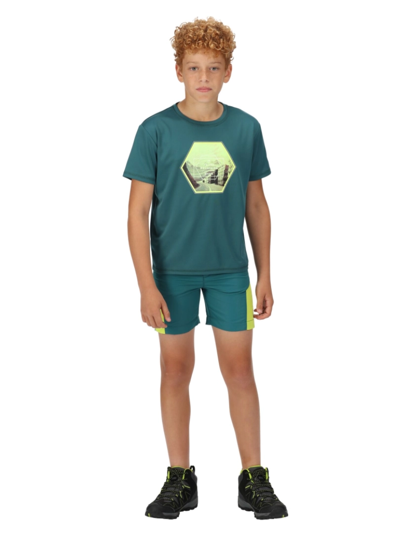 imagem de Regatta Crianças/Kids Alvarado Vi Hexagon T-Shirt5