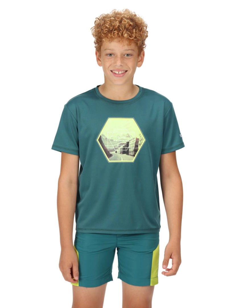 imagem de Regatta Crianças/Kids Alvarado Vi Hexagon T-Shirt6