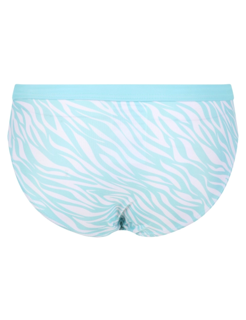 imagem de Regatta Girls Hosanna Zebra imprimir Bikini Bottoms2