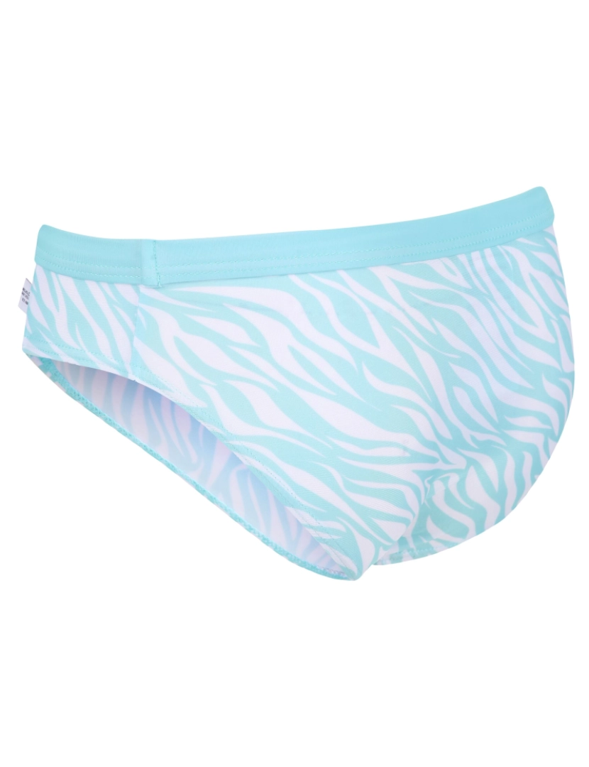 imagem de Regatta Girls Hosanna Zebra imprimir Bikini Bottoms3