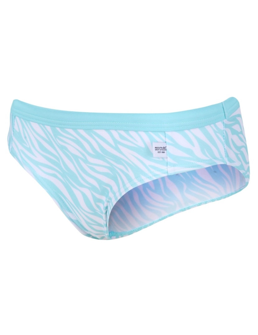 imagem de Regatta Girls Hosanna Zebra imprimir Bikini Bottoms4