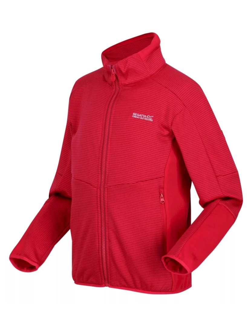 imagem de Regatta Crianças/Kids Highton Iii Full Zip Fleece Jacket3