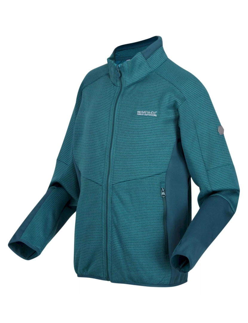 imagem de Regatta Crianças/Kids Highton Iii Full Zip Fleece Jacket3