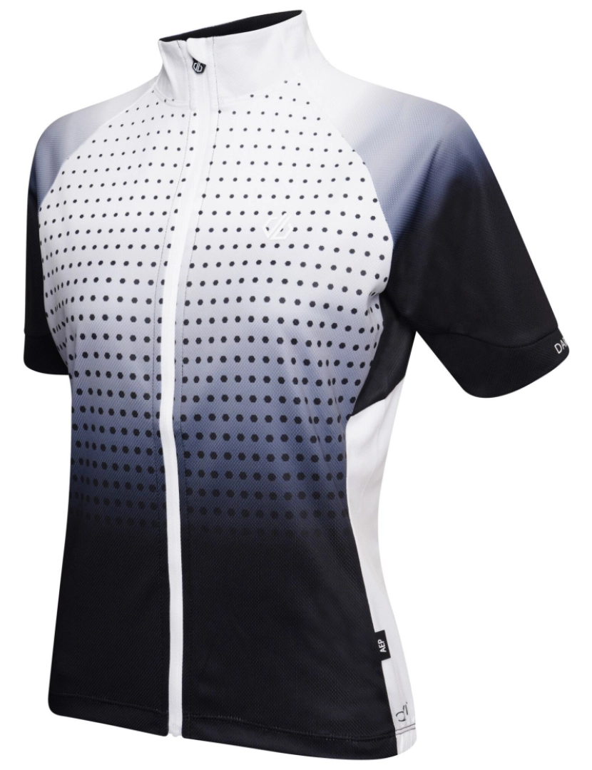 imagem de Dare 2B Womens/Ladies Aep Propell Gradient Jersey3