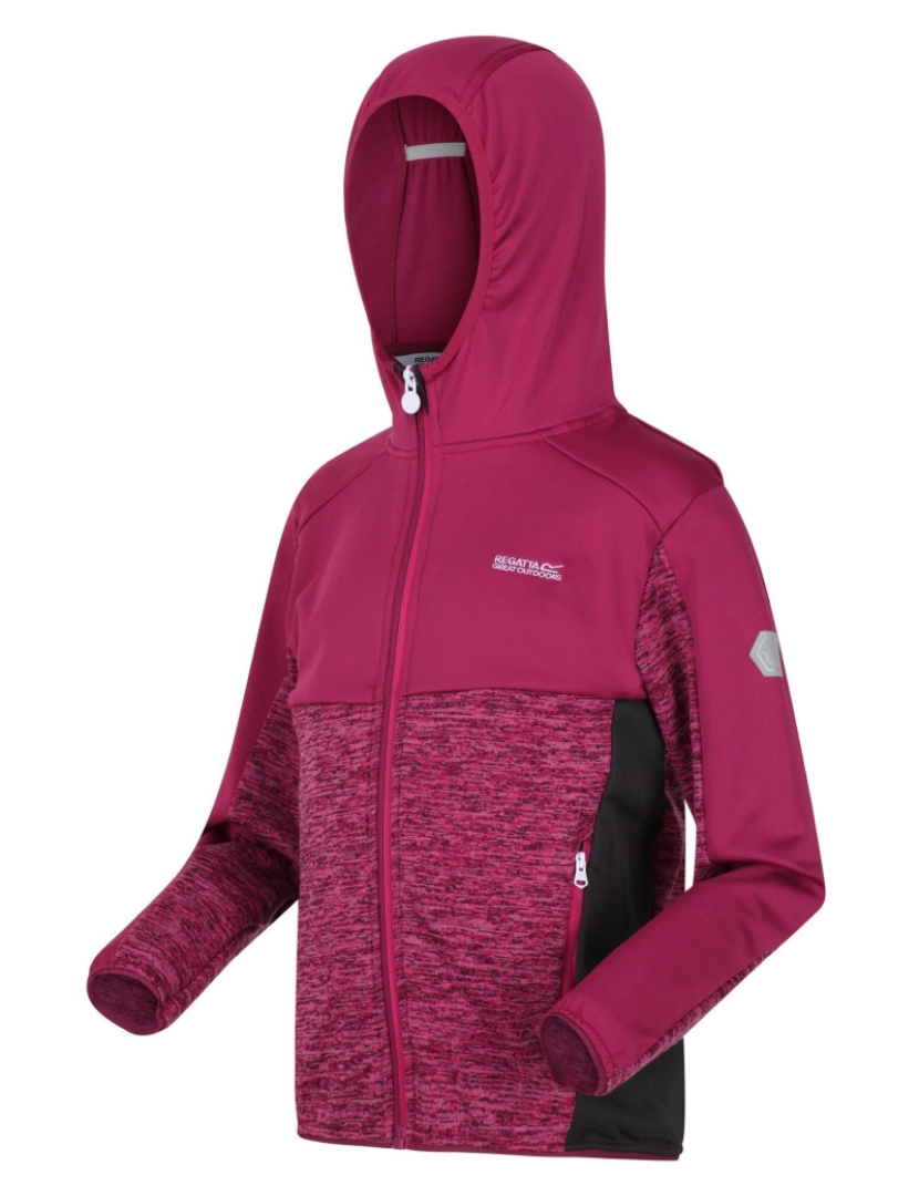 imagem de Regatta Crianças / Dissolver Kids Iv Full Zip Fleece4